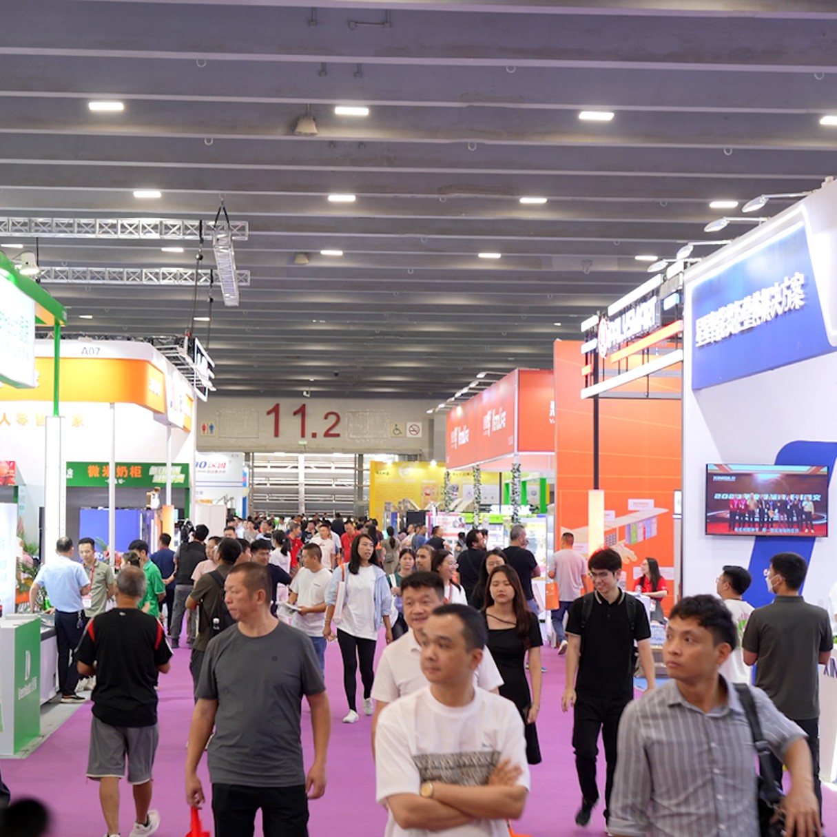 1736239065265500.jpg 01.jpg